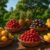 Top 7 Tropical Fruits To Taste In Mauritius